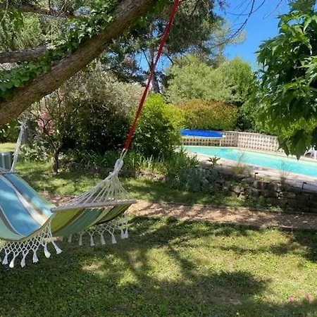 Dans Les Pins